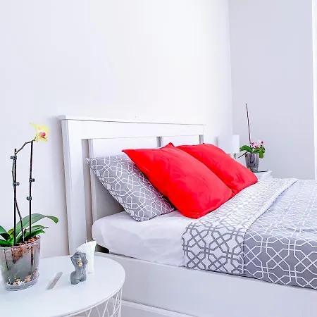 Homestay Cosy Modren On